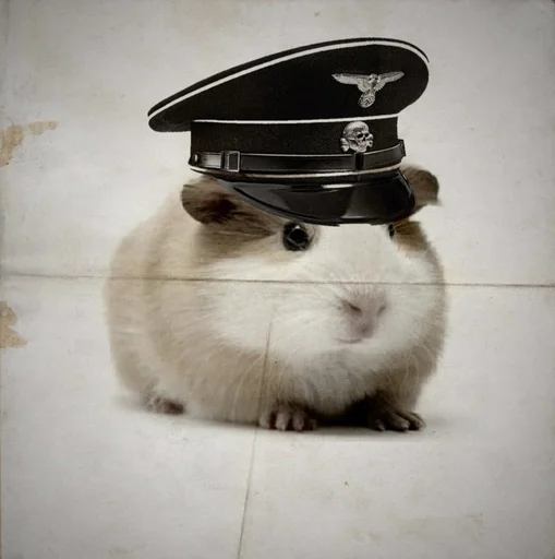 🐹 Стикер «ХоМяЧиЙ дВиЖ» для Telegram
