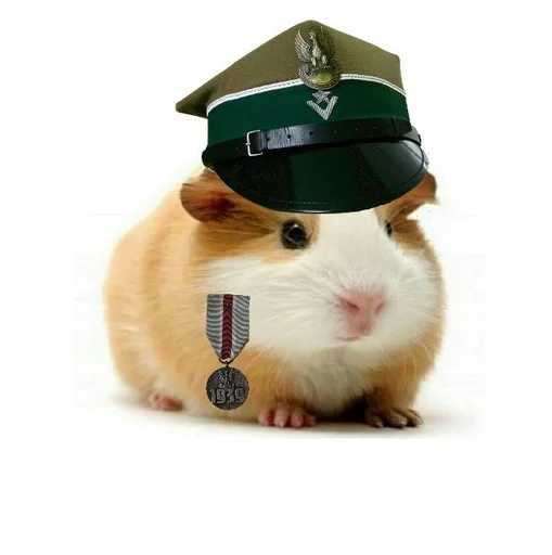 🐹 Стикер «ХоМяЧиЙ дВиЖ» для Telegram