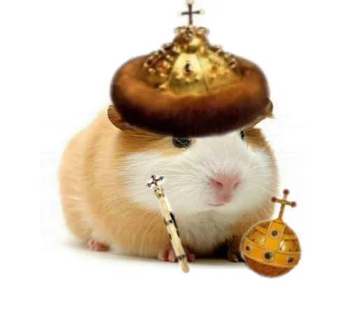 🐹 Стикер «ХоМяЧиЙ дВиЖ» для Telegram
