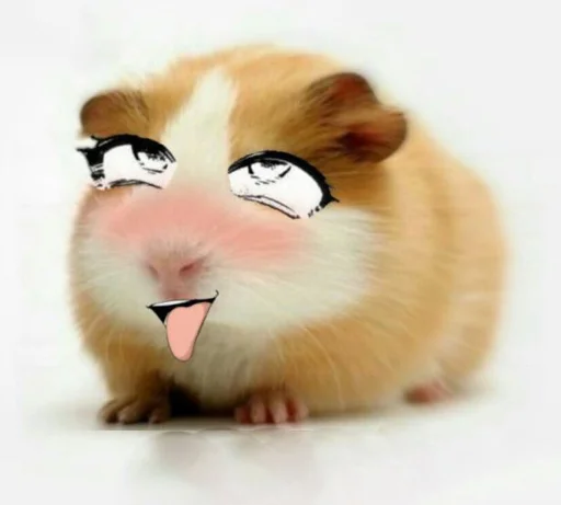 🐹 Стикер «ХоМяЧиЙ дВиЖ» для Telegram