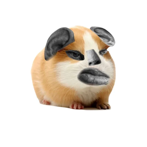 🐹 Стикер «ХоМяЧиЙ дВиЖ» для Telegram