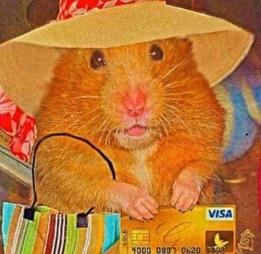 🐹 Стикер «Hamster Kiana» для Telegram