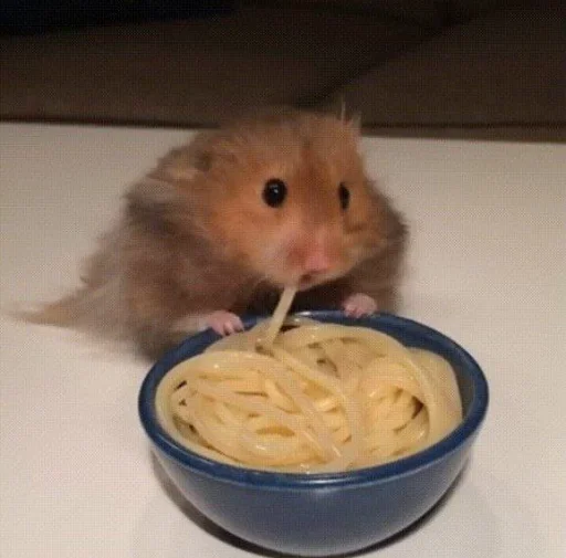 🐹 Стикер «Hamster Kiana» для Telegram