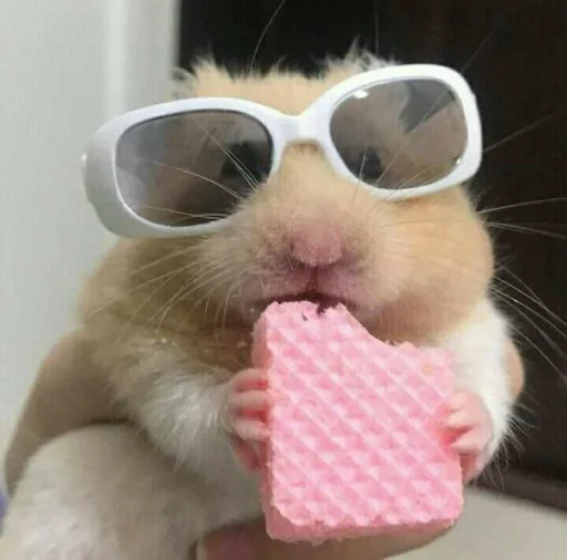 🐹 Стикер «Hamster Kiana» для Telegram