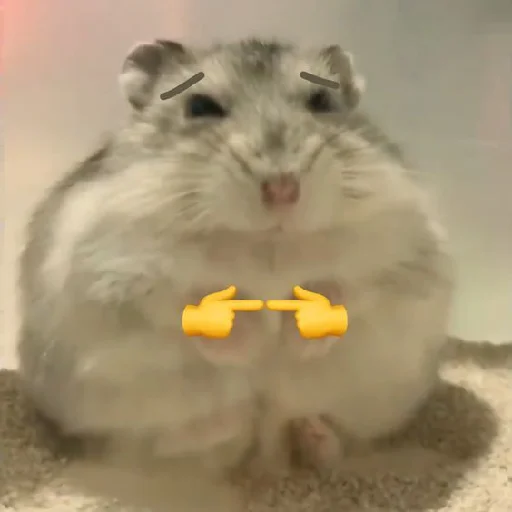 🐹 Стикер «Hamsters» для Telegram