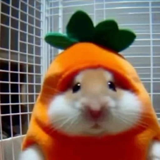 🐹 Стикер «Hamsters» для Telegram