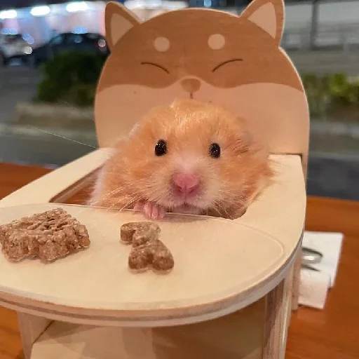 🐹 Стикер «Hamsters» для Telegram