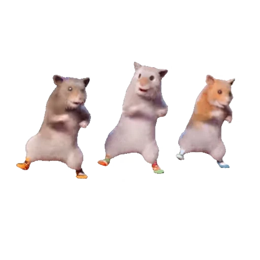 🕺 Стикер «Hamsters» для Telegram