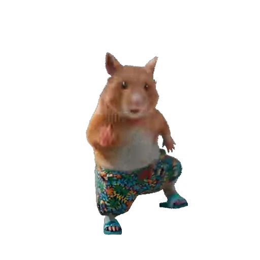 👯‍♀️ Стикер «Hamsters» для Telegram