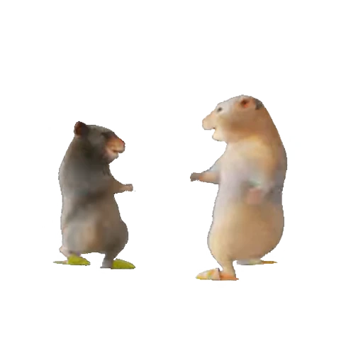 🐹 Стикер «Hamsters» для Telegram