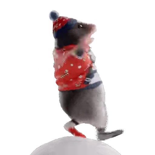 Стикерпак «Hamsters» для Telegram — обложка