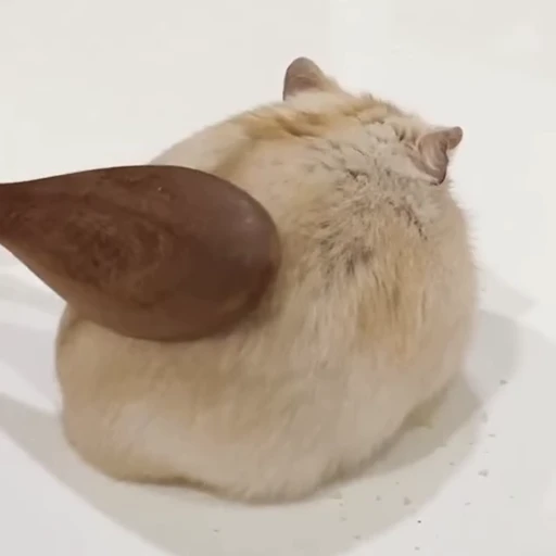 🥟 Стикер «Хомячки» для Telegram