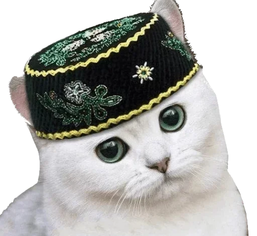 😇 Стикер «HAN» для Telegram