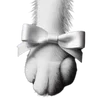 Стикер 5 𝐰𝐡𝐢𝐭𝐞 𝐫𝐢𝐛𝐛𝐨𝐧𝐬 𐙚
