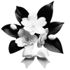 Стикер 28 𝐰𝐡𝐢𝐭𝐞 𝐫𝐢𝐛𝐛𝐨𝐧𝐬 𐙚