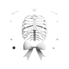 Стикер 3 𝐰𝐡𝐢𝐭𝐞 𝐫𝐢𝐛𝐛𝐨𝐧𝐬 𐙚