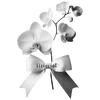 Стикер 44 𝐰𝐡𝐢𝐭𝐞 𝐫𝐢𝐛𝐛𝐨𝐧𝐬 𐙚