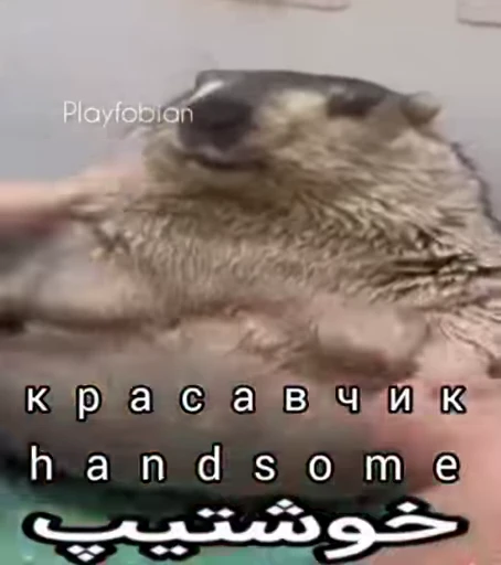 Стикерпак Handsome? для Telegram