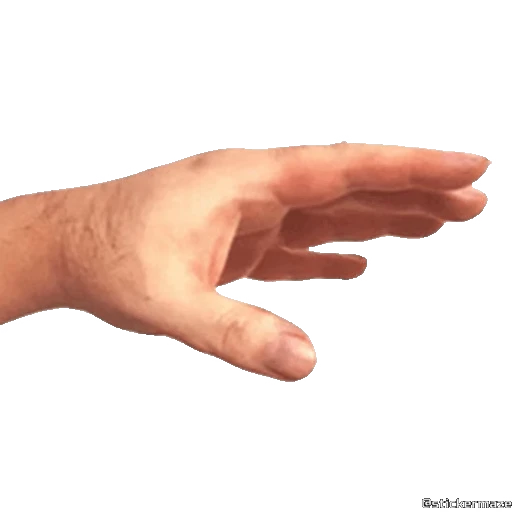 🫳 Стикер «HANDS TWO» для Telegram