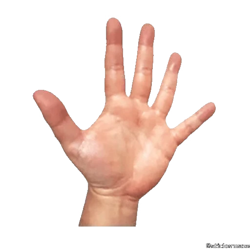 👋 Стикер «HANDS TWO» для Telegram