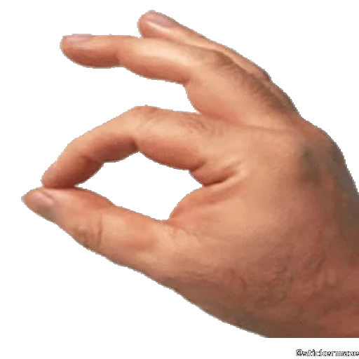 👌 Стикер «HANDS TWO» для Telegram