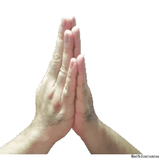 🙏 Стикер «HANDS TWO» для Telegram