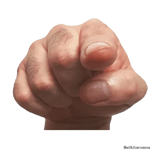 🫵 Стикер «HANDS TWO» для Telegram