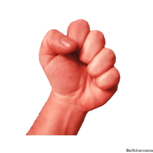 ✊ Стикер «HANDS TWO» для Telegram