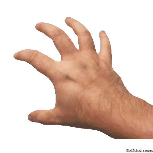 🖐 Стикер «HANDS TWO» для Telegram
