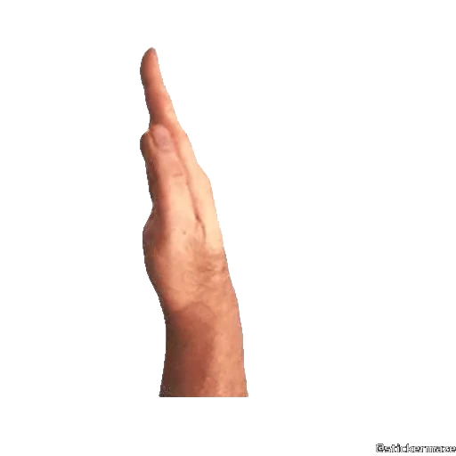 ✋ Стикер «HANDS TWO» для Telegram