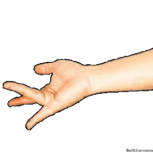 💦 Стикер «HANDS TWO» для Telegram