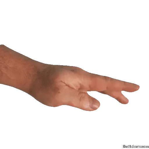 🕛 Стикер «HANDS TWO» для Telegram