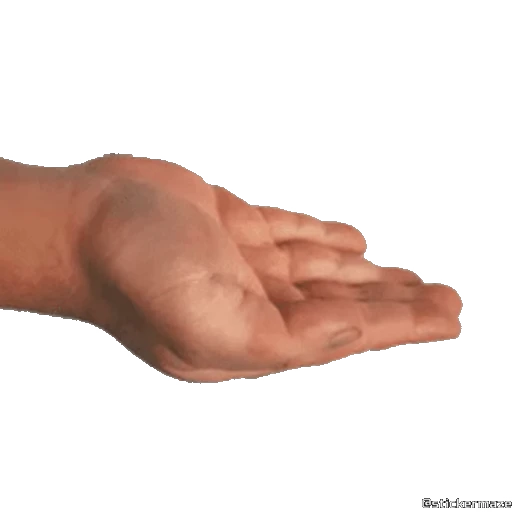 🫴 Стикер «HANDS TWO» для Telegram