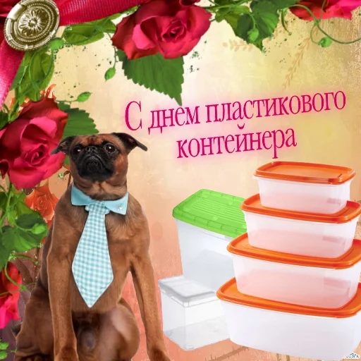 🥨 Стикер «С днем цемента» для Telegram
