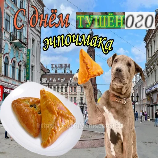🥟 Стикер «С днем цемента» для Telegram