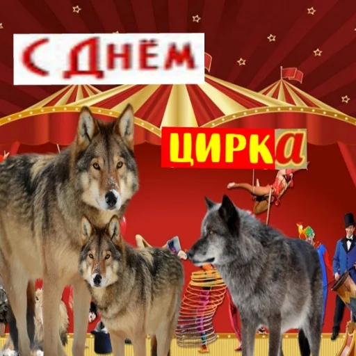🐺 Стикер «С днем цемента» для Telegram