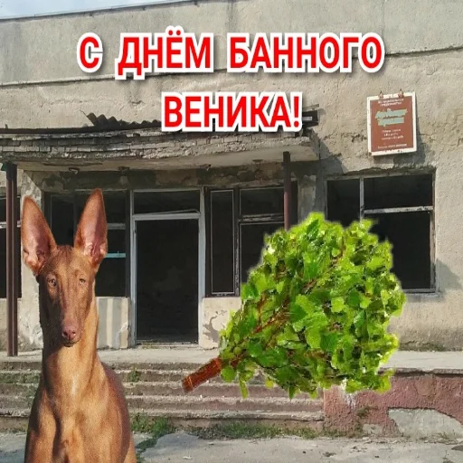🎟 Стикер «С днем цемента» для Telegram