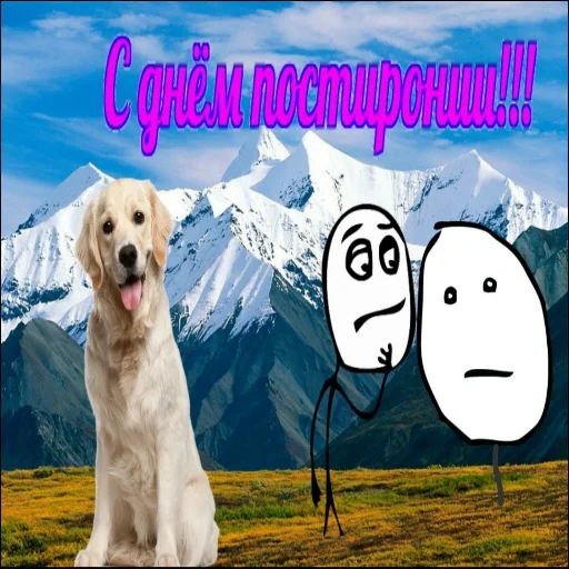 😹 Стикер «С днем цемента» для Telegram
