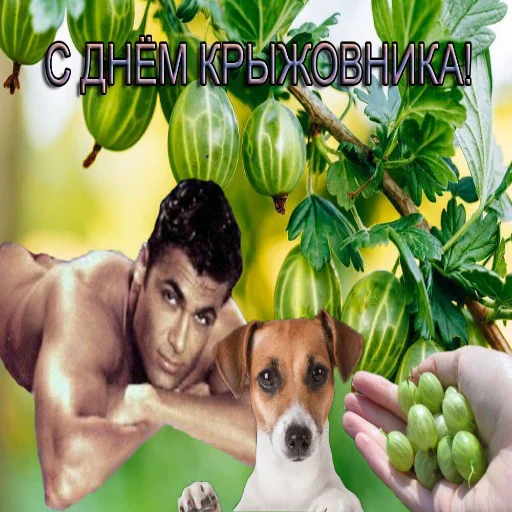 🧆 Стикер «С днем цемента» для Telegram