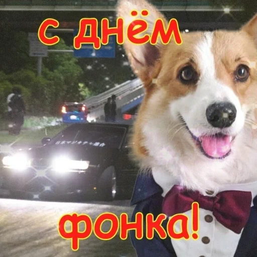 👻 Стикер «С днем цемента» для Telegram