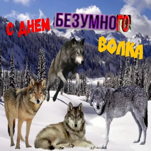 ⚰ Стикер «С днем цемента» для Telegram