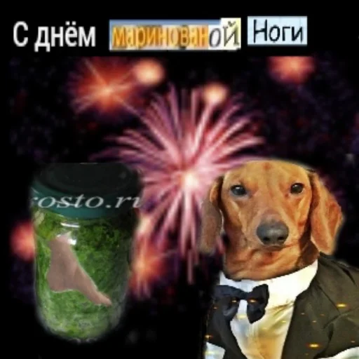 🐽 Стикер «С днем цемента» для Telegram