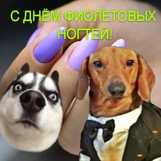 🍇 Стикер «С днем цемента» для Telegram
