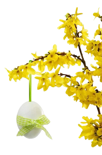 🎋 Стикер «Happy Easter» для Telegram