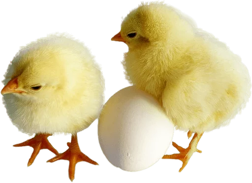 🐥 Стикер «Happy Easter» для Telegram