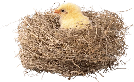 🐥 Стикер «Happy Easter» для Telegram