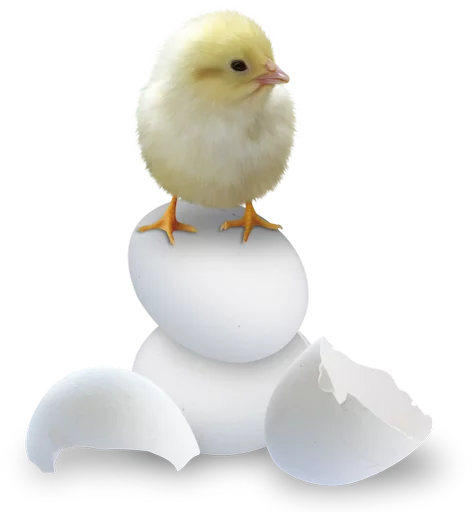 🐥 Стикер «Happy Easter» для Telegram