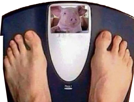 🐷 Стикер «Happy feet» для Telegram