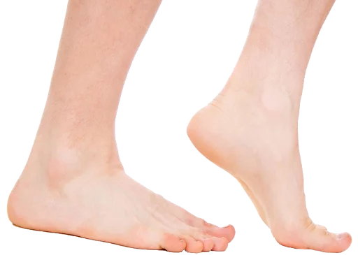 👣 Стикер «Happy feet» для Telegram