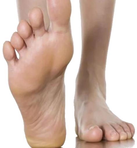👣 Стикер «Happy feet» для Telegram